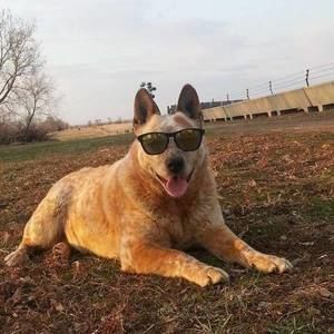 Meet your Posher, Melody